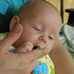 avocado eating from dad's finger